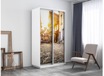 Шкаф-купе Экспресс 2-х дверный (фотопечать) гл.600