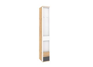 Лойс 85 Шкаф МЦН